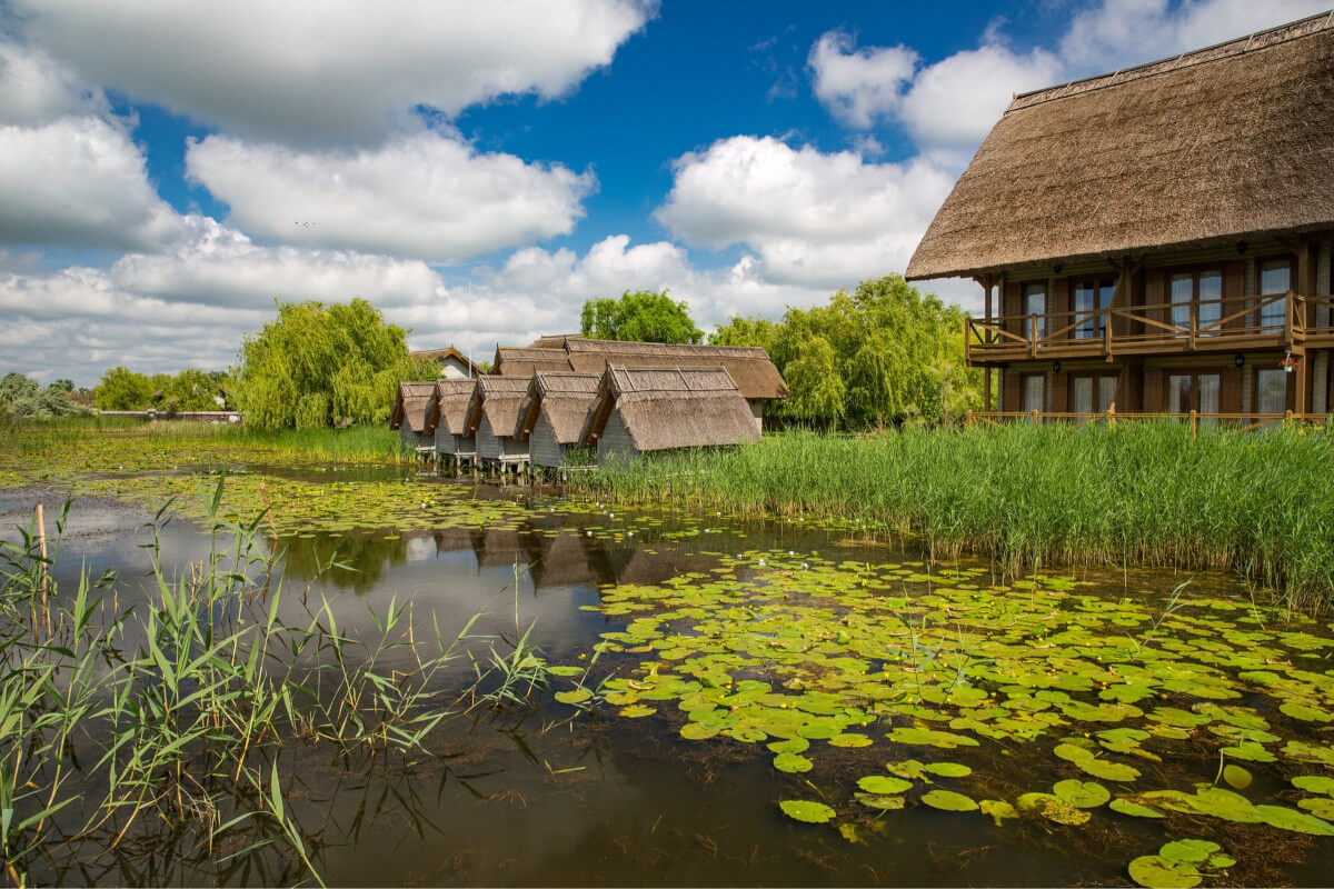 Danube delta